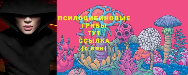 дурь Абаза