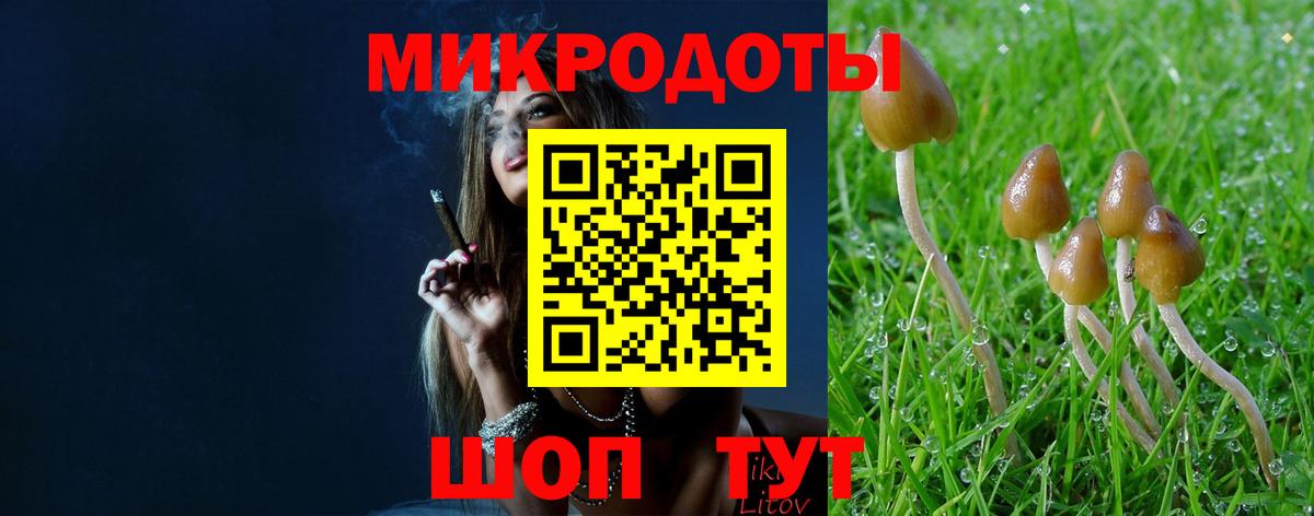 Галлюциногенные грибы Cubensis Кизляр